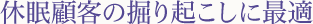 休眠顧客の掘り起こしに最適